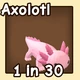 Axolotl — reference image