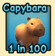 Capybara — reference image