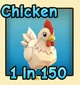 Chicken — reference image