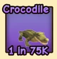 Crocodile — reference image