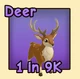 Deer — reference image