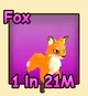 Fox — reference image