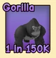 Gorilla — reference image