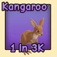 Kangaroo — reference image