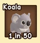 Koala — reference image