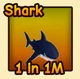 Shark — reference image