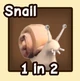 Snail — reference image