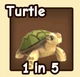 Turtle — reference image
